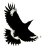 Currawong1